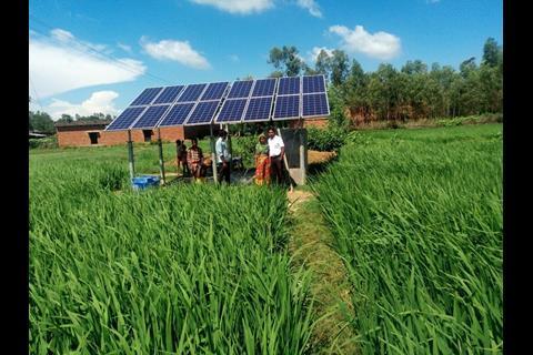 Image of solar pumps in rice fields in the village of Sarvantara in Uttar Pradesh